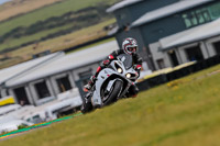 PJ-Motorsport-2019;anglesey-no-limits-trackday;anglesey-photographs;anglesey-trackday-photographs;enduro-digital-images;event-digital-images;eventdigitalimages;no-limits-trackdays;peter-wileman-photography;racing-digital-images;trac-mon;trackday-digital-images;trackday-photos;ty-croes